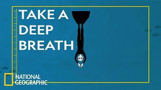 The Dangers of Free Diving | Science of Stupid: Ridiculous Fails