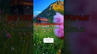 Что будет если празднуем день рождения Пророка с.а.в#YouTube#хадис#Ислам#Аллах#ислам#пророкМухаммад