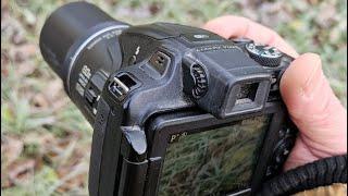 Вспомнил о Nikon P600 и прогулялся по Петергофу