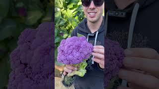 Vertical farming on aeroponic towers allows you to grow 100s of different veggies #farming #veggies