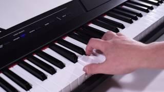 Alesis Recital Overview