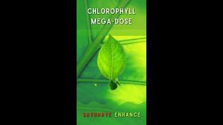 Chlorophyll Mega-Dose a Morphic Short #shorts