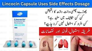 Lincocin Capsule 500mg Uses In Urdu | Lincomycin Capsule 500mg Uses In Urdu