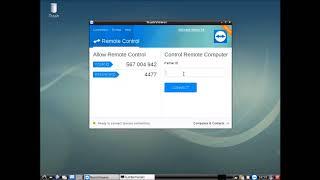 Using Teamviewer with Custom Debian Live OS