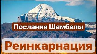 РЕинкарнации. Зачем нужно перевоплощение Души.  #иерархиясвета #звездамахатм #посвящения