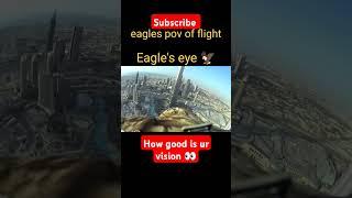 Epic Eagle Flight: Soaring Through the Sky in First-Person View!#shorts #short #science #facts