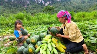 Mom and Bong started harvesting watermelons and cucumbers to sell after months of planting.