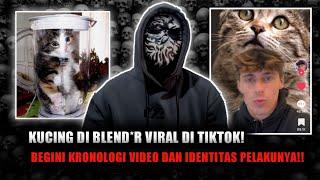 KUC!NG DI BLND£R VIRAL TIKTOK!!