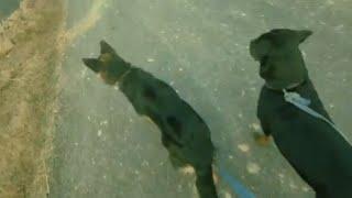 Morning Walk with RC and Jassi 