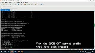 New GPON OLT configure Internet service on the ZTE SFU