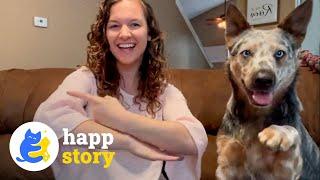 A Deaf Woman and Her Deaf Dog: An Inspiring Story of Love and Resilience| HAPP