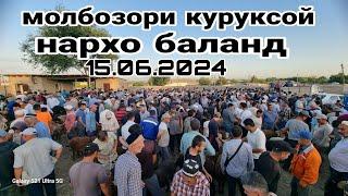 молбозори куруксой шанбебозор 15.06.2024