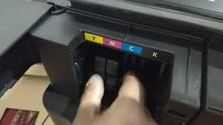 HP Designjet T520