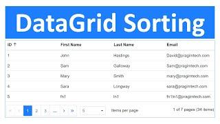 ASP.NET Core 5 | DataGrid Sorting