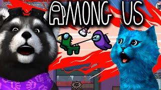 AMONG US Котёнок Лайк и Енотик Стив