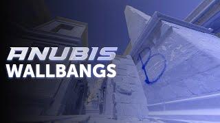 Anubis HvH Wallbangs