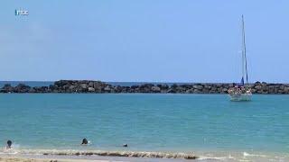 14 foot shark sighted at Pokai Beach
