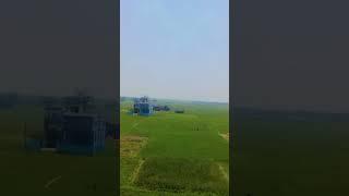 The beauty of nature #trending #short #nature #
