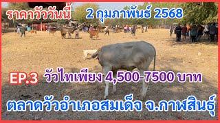 EP.3 #ราคาวัววันนี้ 2กุมภาพันธ์ 25683#ตลาดวัวอำเภอสมเด็จ จังหวัดกาฬสินธุ์ #วัวไทราคาถูกๆ