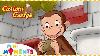 George Makes a Stew!  | Curious George | Mini Moments