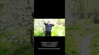 Выбор места для сада.   Закладка сада.   Валерий Железов.  (Отрывок)