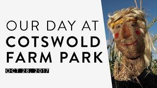 DAY OUT AT COTSWOLD FARM PARK, OXFORDSHIRE