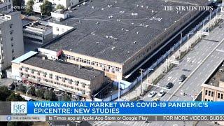 Animal market in Wuhan was epicentre of Covid-19 pandemic, say two new studies