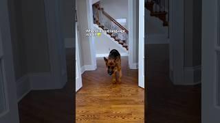 That look at the end. 