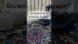 Что ожидает вас в ближайшем будущем? #предсказаниянакартах #маринатаро #советоткарт