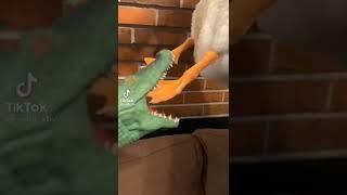 just for fun #sh or t video #dark#tiktok