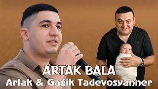 Artak & Gagik Tadevosyanner - ARTAK BALA