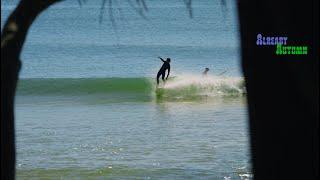 Already Autumn - a Longboard Surfing Postcard from Noosa