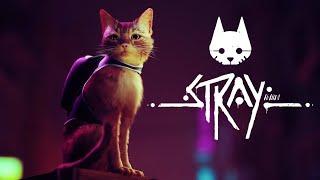 Полное прохождение игры на русском STRAY#1 Симулятор кота