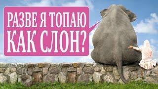13 МИФОВ О ЖИВОТНЫХ в которые мы все еще верим