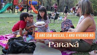 1 ano da mudança, um ano sem moscas e sem pernilongo, um ano de vida em Cascavel - Paraná