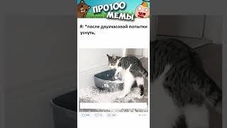 Мемы 2022 ( Тут Про100 мемы и короткие приколы с котами ) Подборка мемов 371 - Где же оно счастье ?