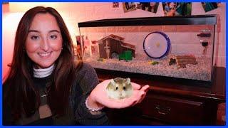 Buying My Girlfriend A Pet Hamster!