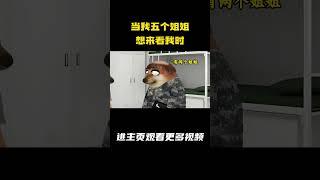 当我五个姐姐想来看我时 #cheems #军旅