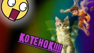 ФЕЯ ЖЕЛАНИЙ принесла КОТЕНКА!!! || Вызов феи животных