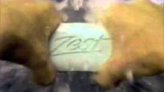 Zest "Zestfully Clean" commercial - 1990