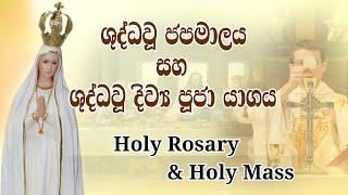 Morning Holy Rosary & Holy Mass - 23/08/2024