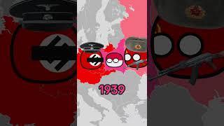 All Polands in one video #countryballs