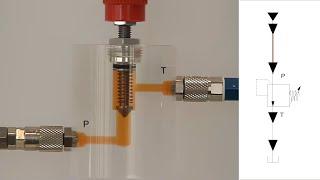 Клапан сброса давления (Предохранительный клапан. Переливной клапан) (pressure relief valve).