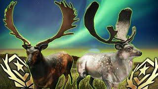 THE NEW GREAT ONE FALLOW DEER!!!! All Fur Types & Racks Revealed! Call of the wild