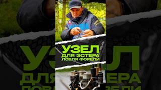 УЗЕЛ ДЛЯ ЭСТЕРА | УЗЛОВЯЗ ОТ DAIICHISEIKO | ЛОВЛЯ ФОРЕЛИ #узел #японскиеснасти #troutarea #jpsnasti