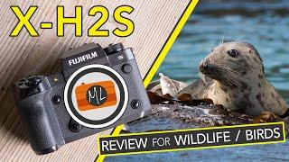 Fujifilm X-H2S Review for Wildlife and Birds in Flight