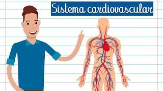 RESUMO - SISTEMA CARDIOVASCULAR