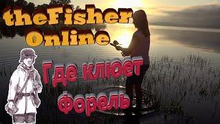 theFisher Online Много опыта и денег (Форель)