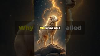 Why is Jesus a Lamb?        #jesus #love #bible #truth