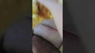 my old vid (part 2)#old #shorts